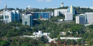 CUHK