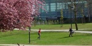 VUB - IES