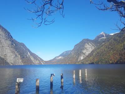 Exploring the Lakes of Bavaria as an MIPLC Student