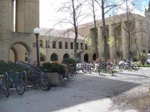 Stanford has a very open and beautiful campus. It feels like Club Med, except with Bikes everywhere. 