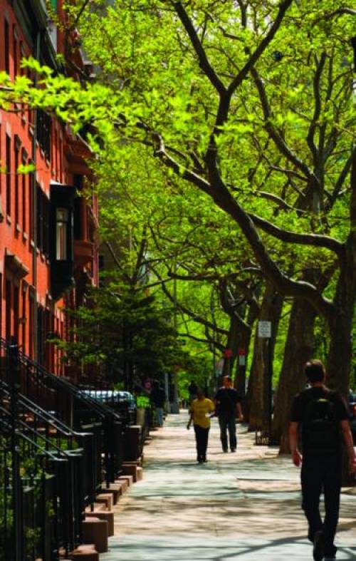 The tree-lined streets of Brooklyn Heights end at a promenade, and a spectacular view of New York Harbor.