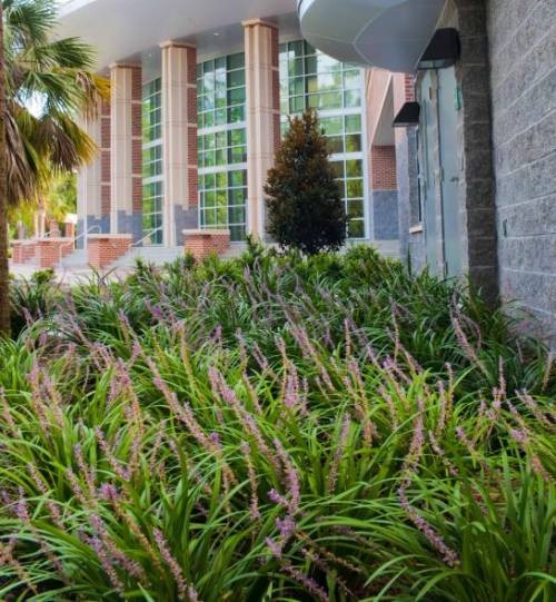 Springtime blooms grace the exterior of the newly completed Martin H. Levin Advocacy Center on the campus of UF Levin College of Law.