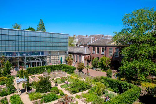 Hortus botanicus Leiden
