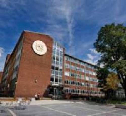 The School of Law