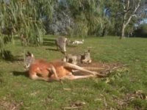 Adelaide Cleland Park