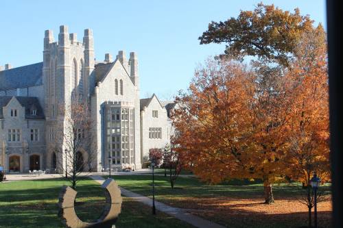 Students describe the Thomas J. Meskill Law Library at UConn Law as the heart of the campus where all the action happens.