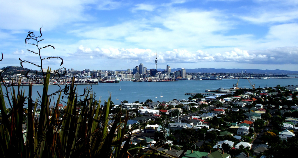 Auckland city